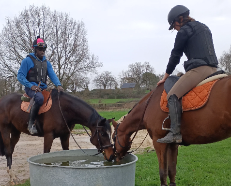 Apprenants fin de travail juments à l'abreuvoir